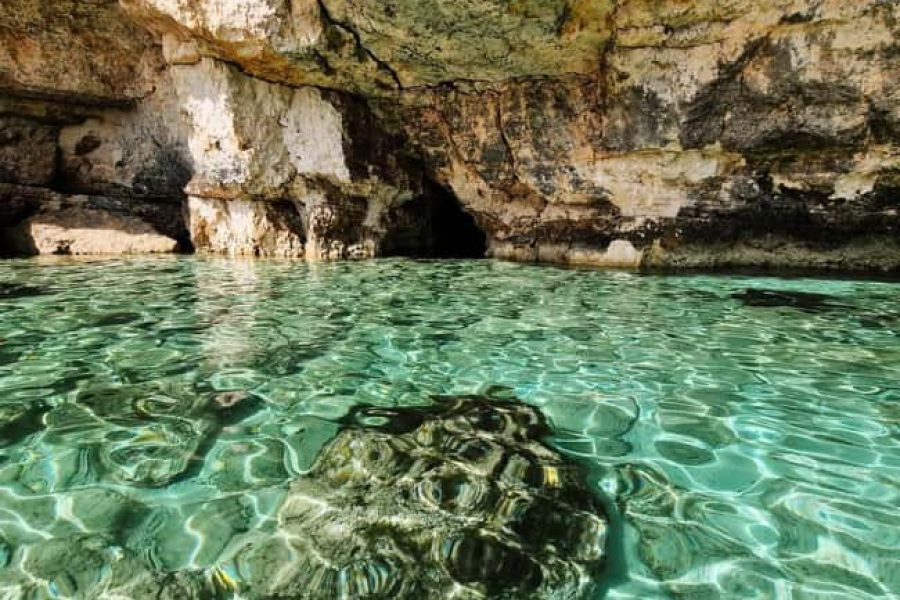 Mellieha / Gozo: Comino Blue Lagoon 3 hours Private Boat trips